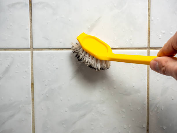 Best DIY Mold Remediation Support Services in South Holland, IL